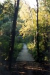 The Best Road